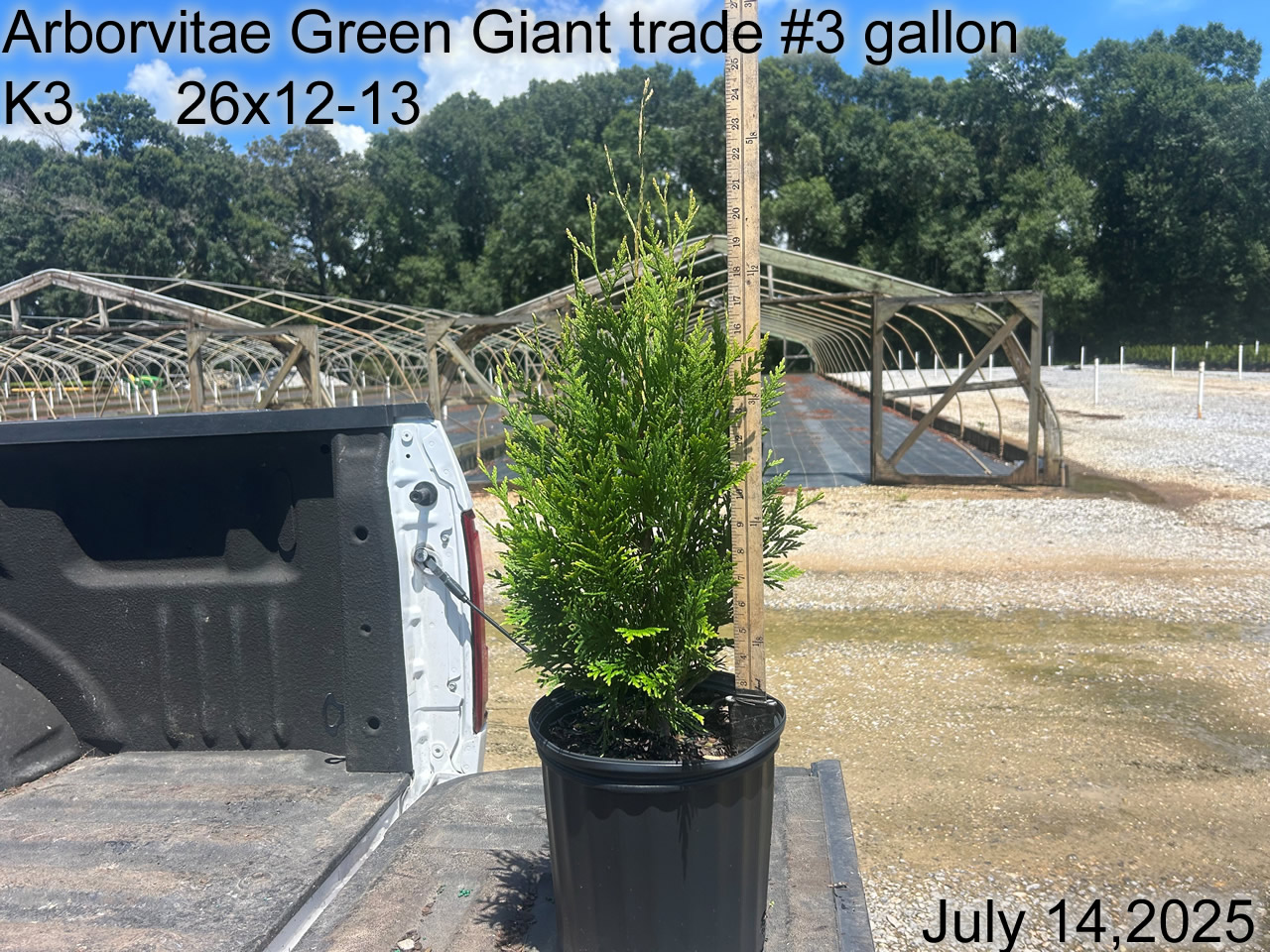 gallery/avgg3t k3 july25.jpg